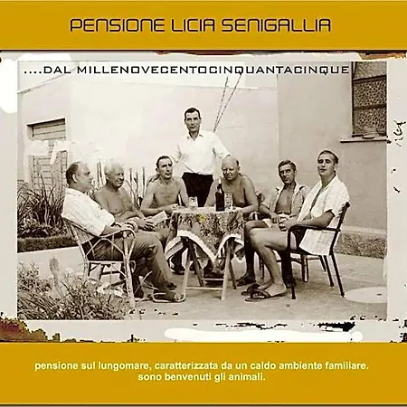 Licia * Senigallia